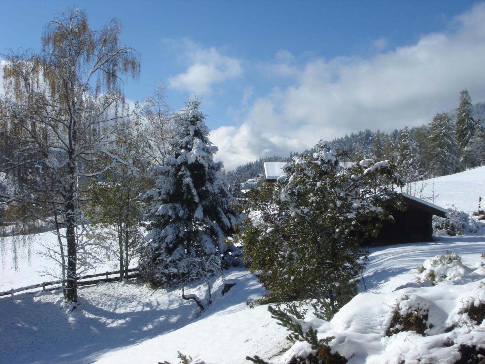 Landhaus Frenes Apartments Seefeld in Tirol Exterior foto